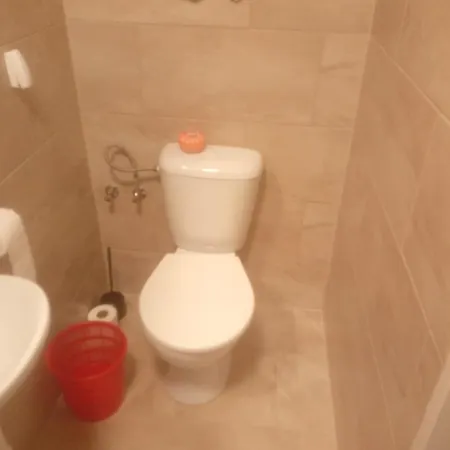 U Javoru * Velké Pavlovice