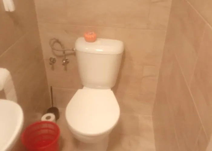 U Javoru * Velké Pavlovice